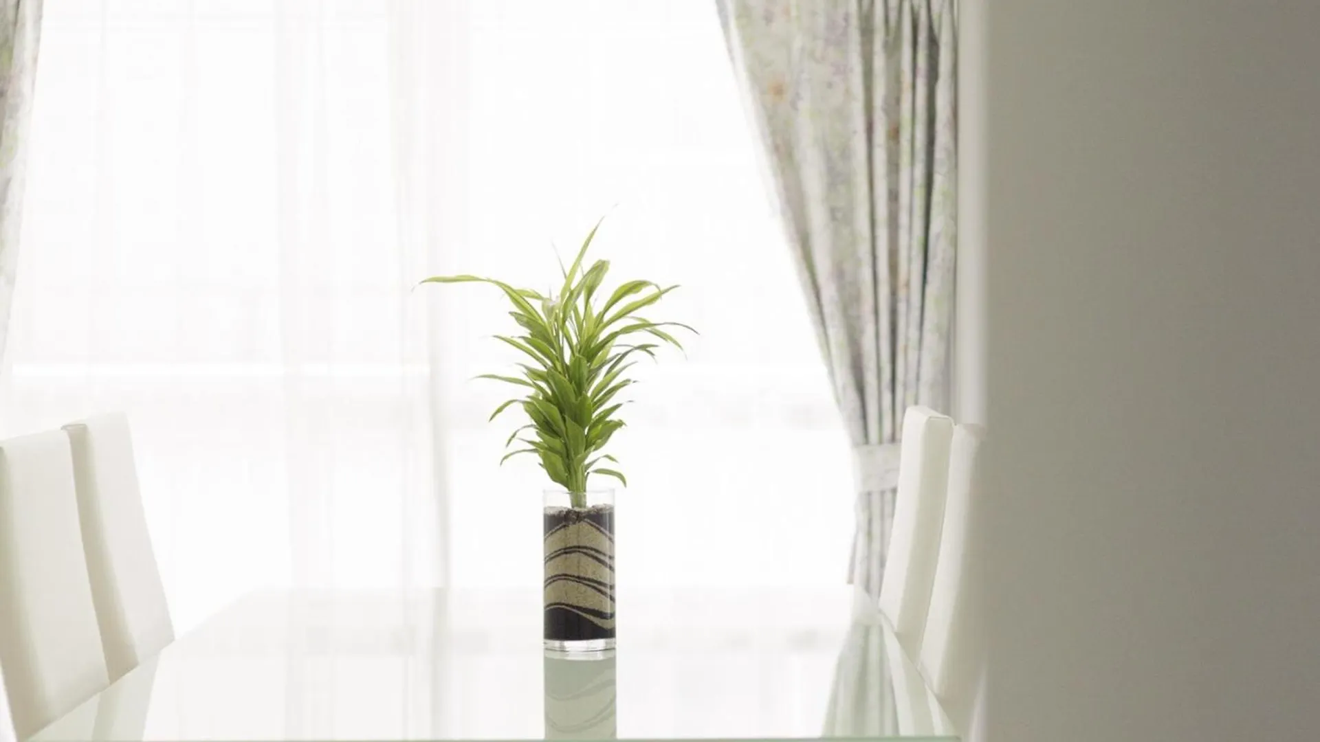 シャトーひらぎし Apartment Sapporo